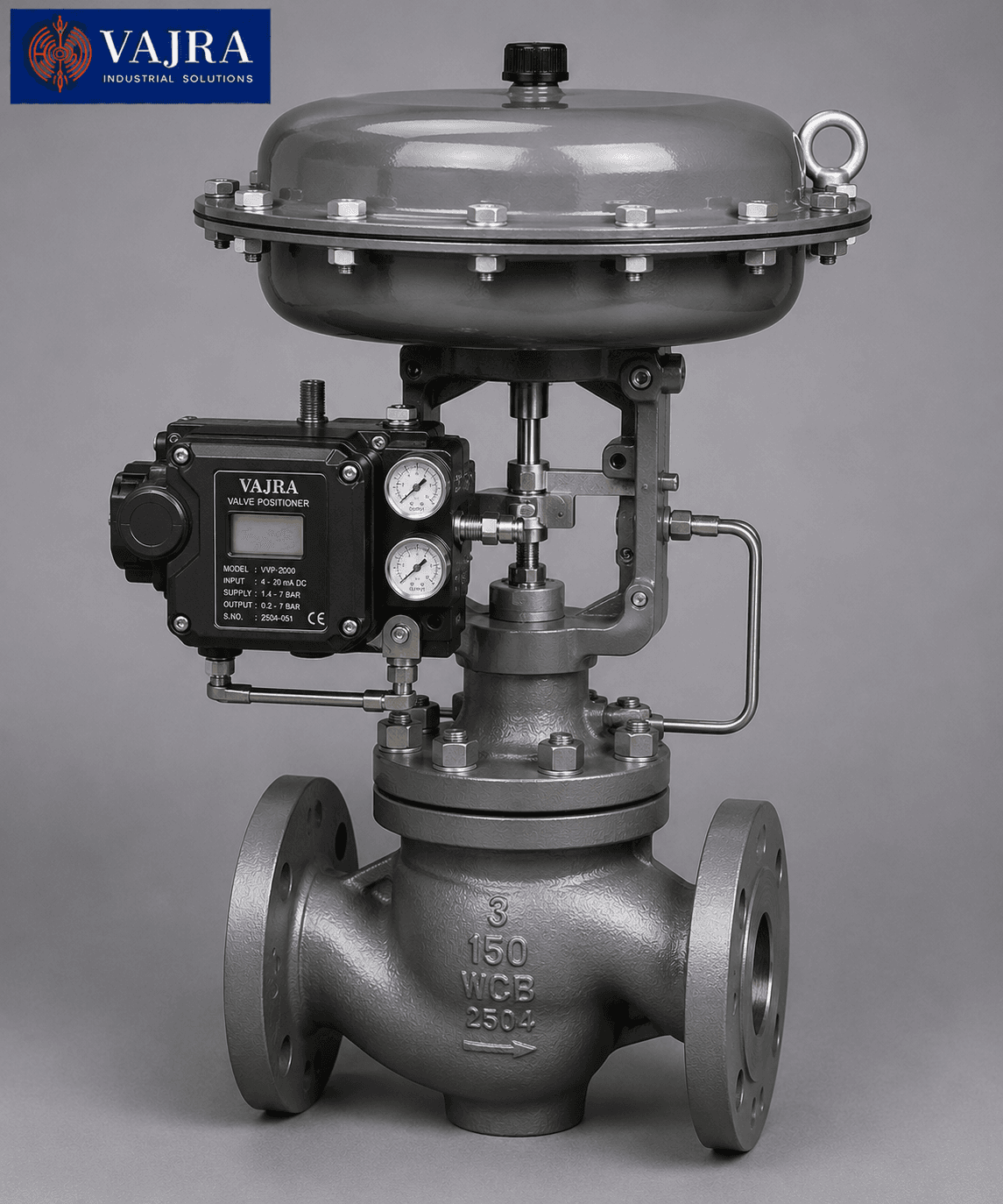 Globe type control valve for modulating process control